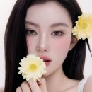 렌즈미
