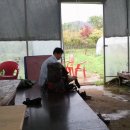 철훈농장 이미지