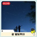 별빛여행 | 괌 탕기슨 별빛투어 시간 포즈 추천 자유여행 후기
