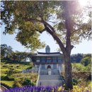 자갈금경로당 | 영광 가볼만한곳 백제불교 최초도래지 탐방