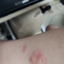 김호철내과의원 이미지