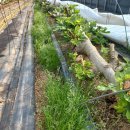 희수농장 이미지