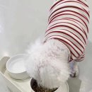 멍화만사성 이미지