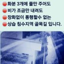 🏕생횔속의 일반상식? #️⃣도로법위반//무단 적취물 화분의 관리 책임은? 이미지