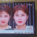 쉬스토리 이미지
