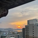 아침해마트 | 5월의 부산과 대마도 2박3일 여행일기⛩️