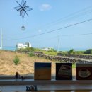 게스트하우스 정글 민박 이미지