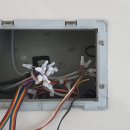 신우 희가로 이미지