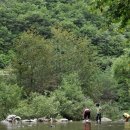 도연이네 민박 이미지