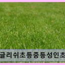 내동모닝빌영어교실 | 앤잉글리쉬초등중등성인초보기초비지니스원어민영어회화 다양한 연령 맞춤 수업 제공