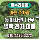 수정카마스타전문정비 | 이천 주차장 앞산 벌목 전지 대행 전문 후기!