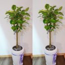 사림동140 이미지