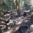 강진 바스락길 이미지