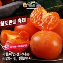 청도농산 이미지