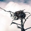 둥지한의원 이미지