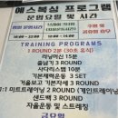 예스복싱 네이버블로그