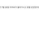 강남역푸드트럭핫도그 이미지