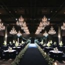 이태원로(서측) | Wedding.02 웨딩홀 투어 시작 / 애견화동 가능한 예식장 리스트 공유 (로얄파크컨벤션, 더뉴컨벤션...