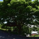 부수리마을회관 이미지