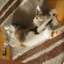 온누리모터스 이미지