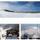 하이원클럽 이미지