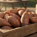 해남슈퍼 | 이 가격 실화? 해남 꿀 고구마 베니하루카 3kg·5kg 역대급 할인 후기