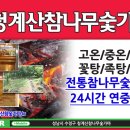 청계산참나무 숯가마 참숯의효능 이미지