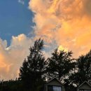 더조이하우스 이미지