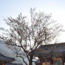 표충사 2 이미지