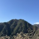 바람부리애플700 이미지