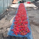 대발농장 이미지