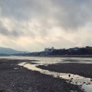 금호강영천 이미지