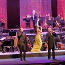 디 오리지널 프렌치 뮤지컬 갈라 콘서트 | [콘서트] 디 오리지널 프렌치 뮤지컬 갈라 콘서트 / 세종문화회관 대극장