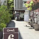 앞집커피 | 도산공원 테라스 카페 카멜커피 도산2호점 추천 비추천 메뉴 내돈내산 솔직후기