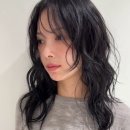 레인헤어 네이버블로그