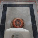 서초대로 156 이미지