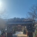 춘천 맛집 | 커피 핫플 디저트 메밀 들깨 아이스크림 맛집 대룡산장 방문 후기
