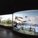 세계 박물관 탐험 이미지