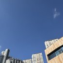 치킨런 | 2025 금천구 어서와 치킨런 후기