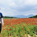 광의면사무소 이미지