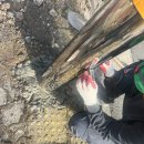 (주)대신환경 | 바스러진 우레탄 볼라드 철거 후 내구성 최고! 전남 광양시 스텐 볼라드 정석 몰탈 시공 후기 - 유진...