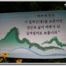 한솔여관 | 홍도(紅島) ․ 흑산도(黑山島) 여행후기 6