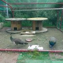 좌구산 휴양림 관리사무소 이미지