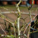 별뜨락하우스 이미지