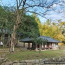 진도칠전리학계철비 이미지