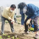 중랑천 제4체육공원 이미지