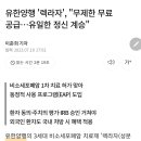 유한양행 폐암 치료제 무제한 무료 공급 !! 이미지