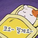하루 피트니스 네이버블로그