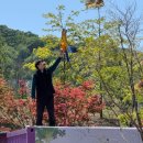 아기정원 | 가평 아기랑 갈만한곳｜베고니아새정원 20개월 아기 후기 (실내 동물원 추천)