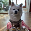 개빵공방 이미지